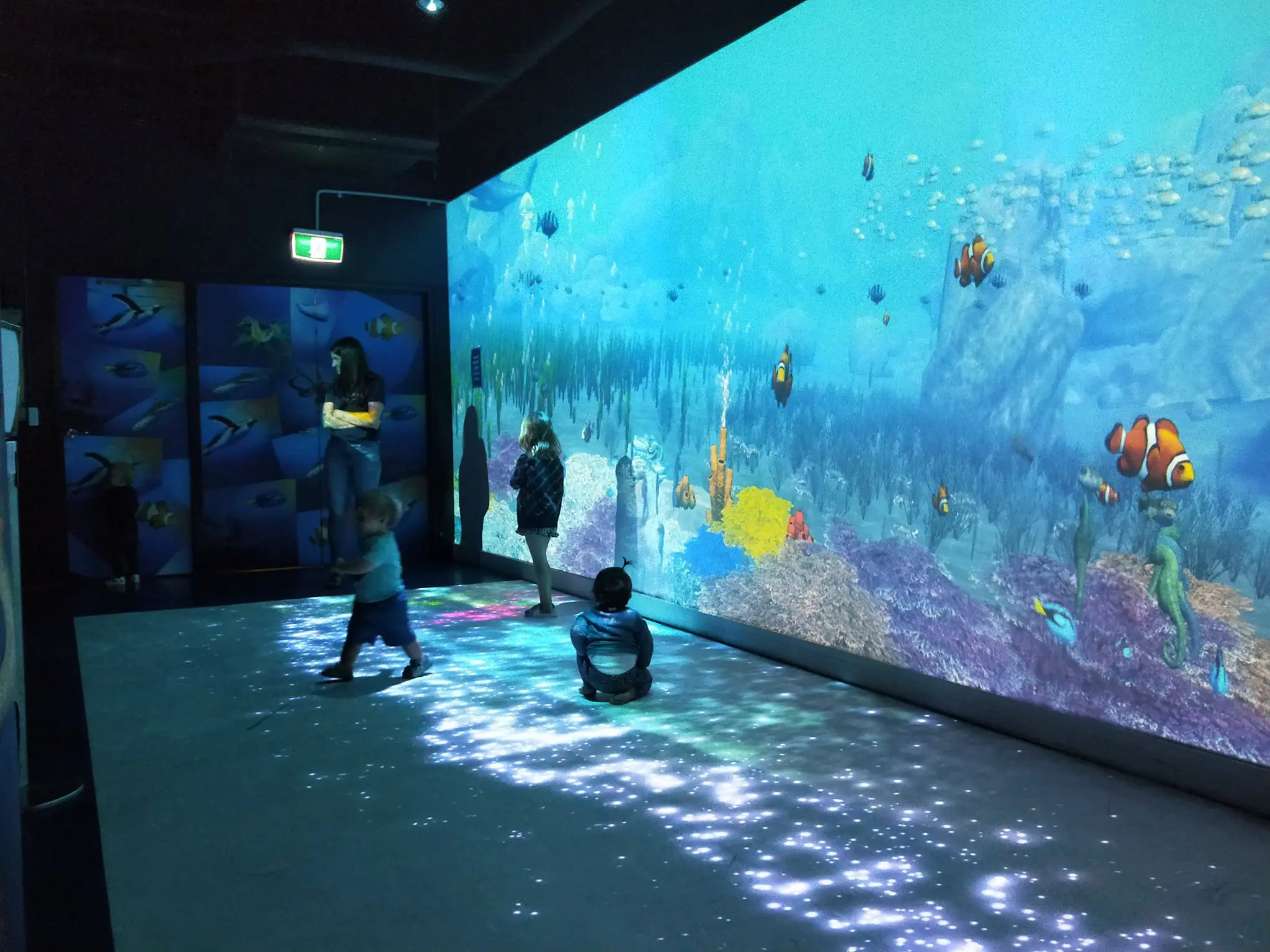 SEA LIFE Melbourne - Wonder Room