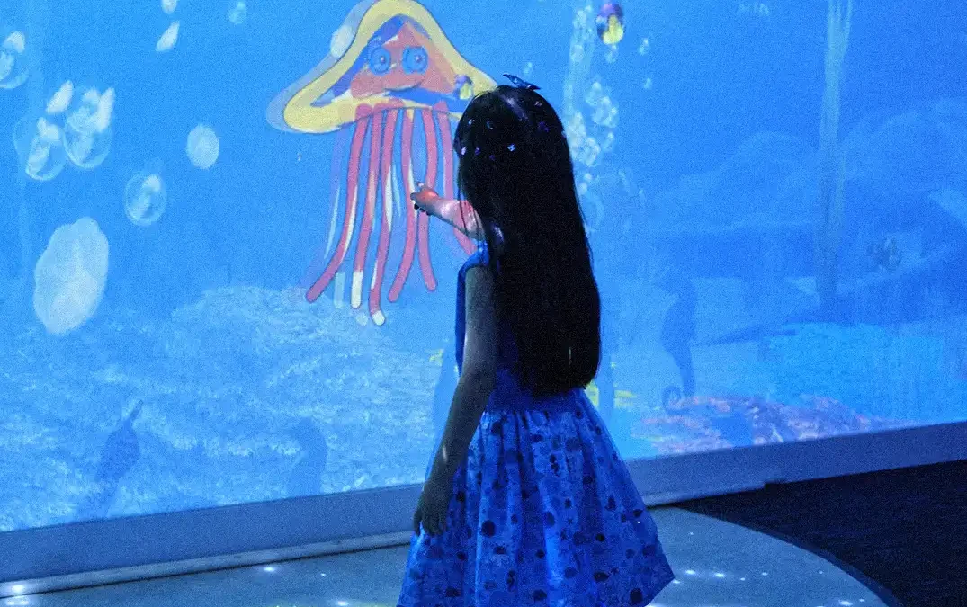 Sea Life – Jelly Fish Room
