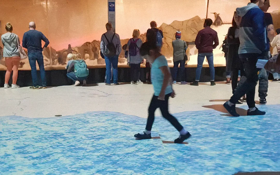 Sea Life – Penguin Room