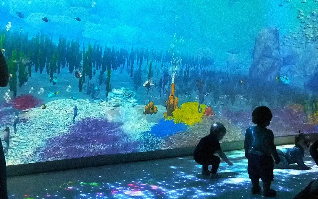 Sea Life – Wonder Room